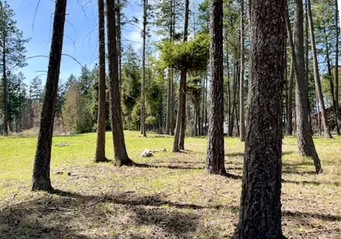 13962 Pine St, Bigfork, MT 59911 photo 2