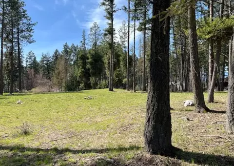 13962 Pine St, Bigfork, MT 59911