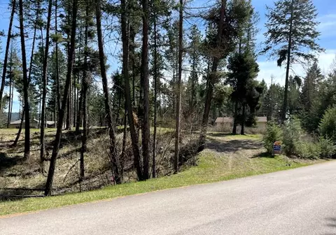 13962 Pine St, Bigfork, MT 59911 photo 10