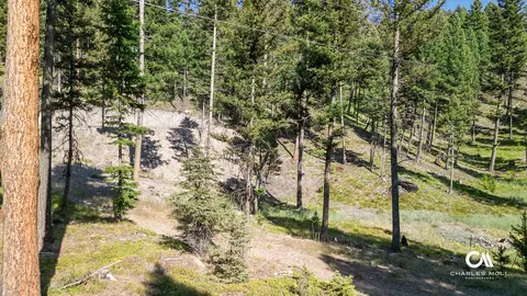 170 Leota Peak Ct, Seeley Lake, MT 59868