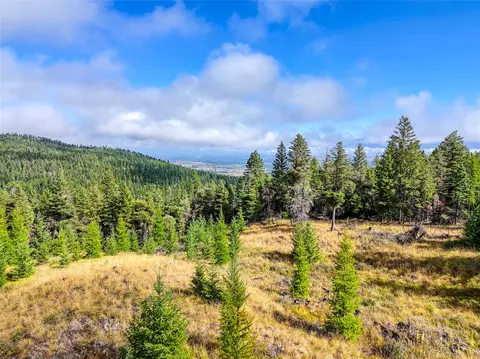 Nhn Buffalo Lane, Somers, MT 59932