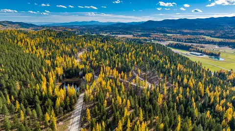 1131 Whitefish Ridge Rd, Whitefish, MT 59937