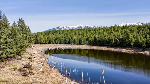 746 Evergreen Dr, Eureka, MT 59917 photo 3