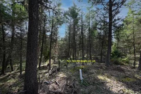 746 Evergreen Dr, Eureka, MT 59917 photo 7