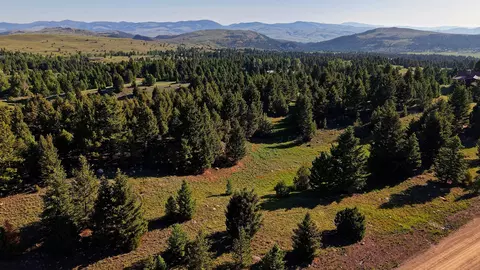 NHN LOT 1 Phase 3A Dolus Lakes Road #1, Deer Lodge, MT 59722