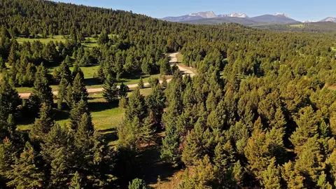 NHN Lot 2 Phase 3A Dolus Lakes Road #2, Deer Lodge, MT 59722