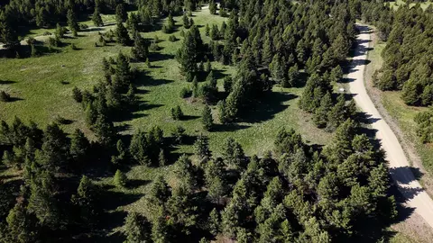 NHN Lot 6 Phase 3A Dolus Lake Road #6, Deer Lodge, MT 59722