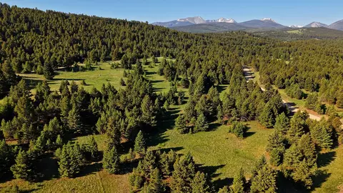 Nhn Lot 8 Phase 3a Dolus Lakes Road, Deer Lodge, MT 59722