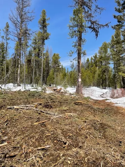 Nhn Dirty Ike Creek Road, Clinton, MT 59825