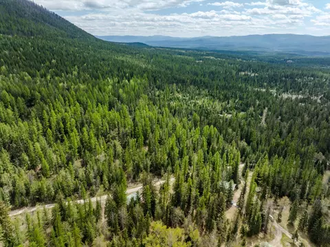View/Area - 313 Griffith Creek Rd, Eureka, MT 59917 photo 8 of 11