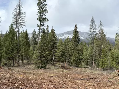 301 Haskill Ranch Rd #LOT 37, Kila, MT 59920