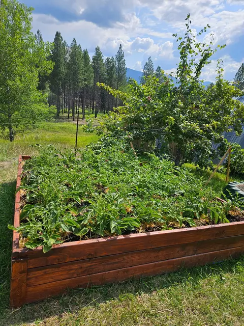 Other - 575 S Rolling Hills Rd, Eureka, MT 59917 photo 4 of 13