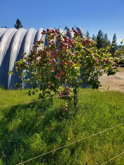 Other - 575 S Rolling Hills Rd, Eureka, MT 59917 photo 1 of 13