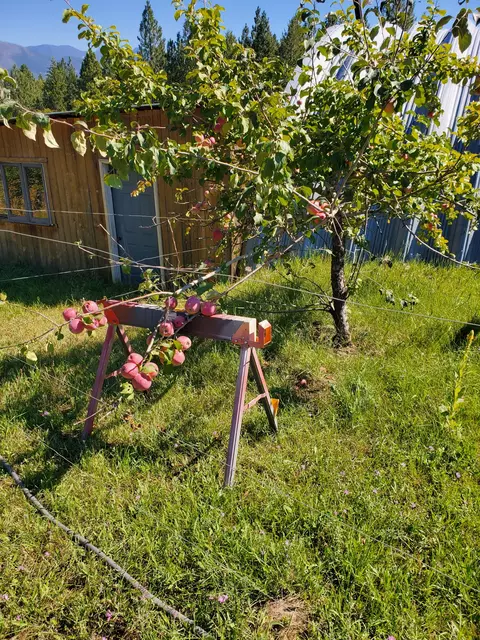 Exterior - 575 S Rolling Hills Rd, Eureka, MT 59917 photo 3 of 10