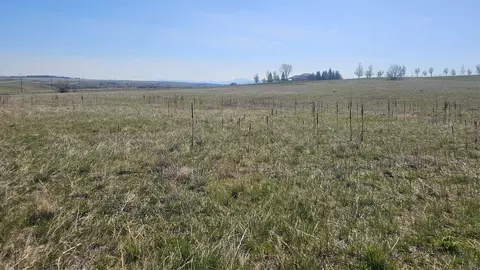 14 Bear Dr, Great Falls, MT 59404 photo 6