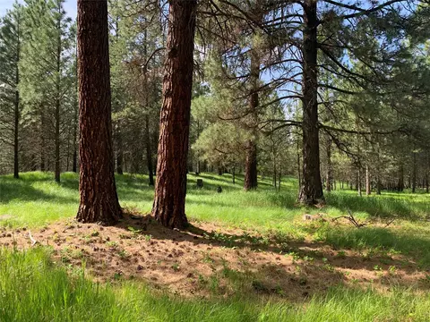 131 Break Rd, Libby, MT 59923 photo 5