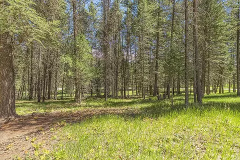 Exterior - 111 Terning Dr W, Eureka, MT 59917 photo 11 of 11