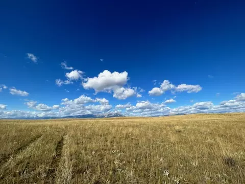 120 W Bitterroot Ln, Augusta, MT 59410 photo 4
