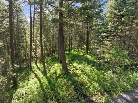119 Stageline Ct, Whitefish, MT 59937