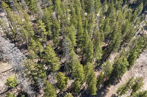 View/Area - 784 Pluid Rd, Eureka, MT 59917 photo 11 of 13