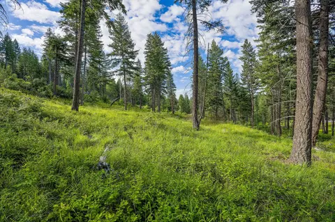16 Bridle Ct, Bigfork, MT 59911 photo 4