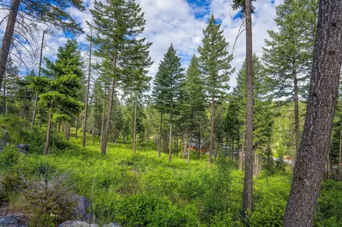 16 Bridle Ct, Bigfork, MT 59911 photo 3