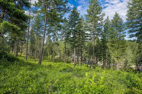16 Bridle Ct, Bigfork, MT 59911 photo 6