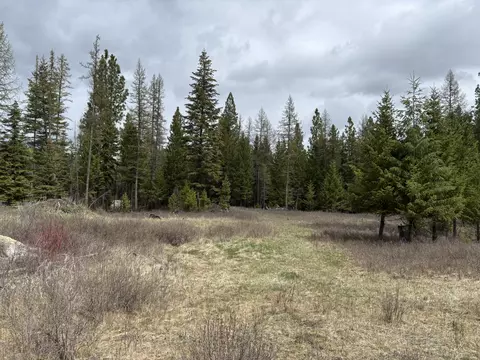 52 Haskill Ranch Rd #LOT -3, Kila, MT 59920