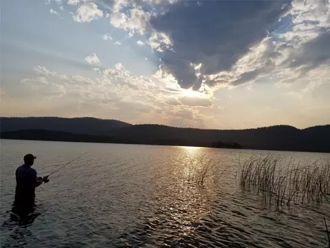 View/Area - 116 Bitterroot Cove Ct, Marion, MT 59925 photo 8 of 22