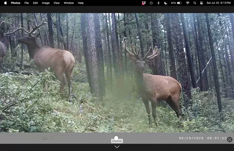 6970 Empire Creek Rd, Canyon Creek, MT 59633