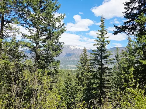 93 Wapiti Point Rd, Thompson Falls, MT 59873