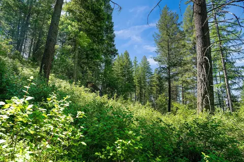 643 Saddlehorn Trl, Bigfork, MT 59911