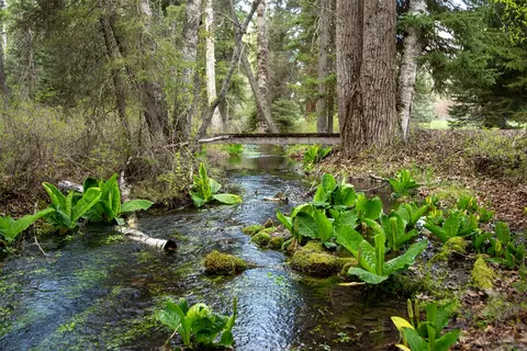 Other - 405 Delrey Rd, Whitefish, MT 59937 photo 14 of 15
