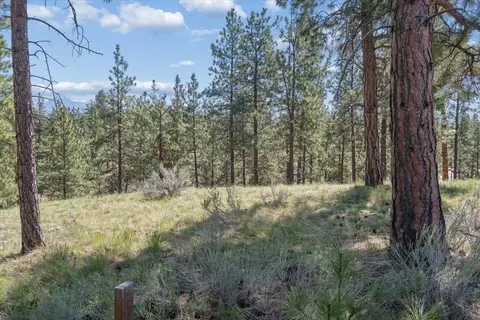 148 Sundance Ct, Eureka, MT 59917 photo 14