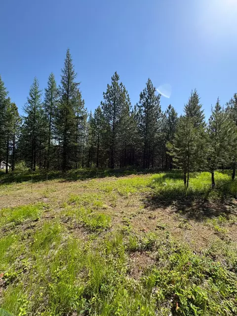 lot6 Panoramic View Dr, Libby, MT 59923 photo 7