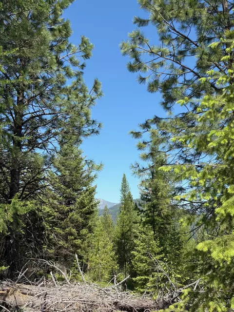 lot6 Panoramic View Dr, Libby, MT 59923 photo 6
