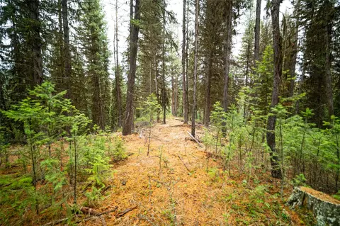 1875 Lower Lost Prairie Rd, Marion, MT 59925