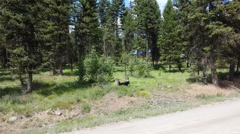 Exterior - 1500 Elk Creek Rd, Libby, MT 59923 photo 5 of 11