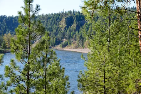 Clark Fork River Sporting Ranch, Superior, MT 59872 photo 12