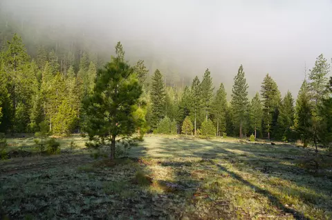 Clark Fork River Sporting Ranch, Superior, MT 59872 photo 38