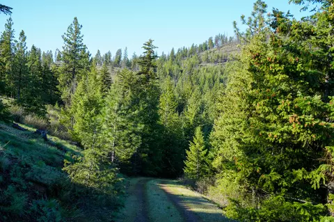 Clark Fork River Sporting Ranch, Superior, MT 59872 photo 17