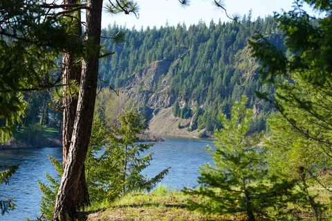 Clark Fork River Sporting Ranch, Superior, MT 59872 photo 18