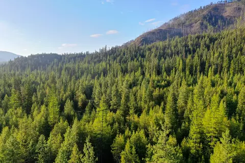 Clark Fork River Sporting Ranch, Superior, MT 59872 photo 8