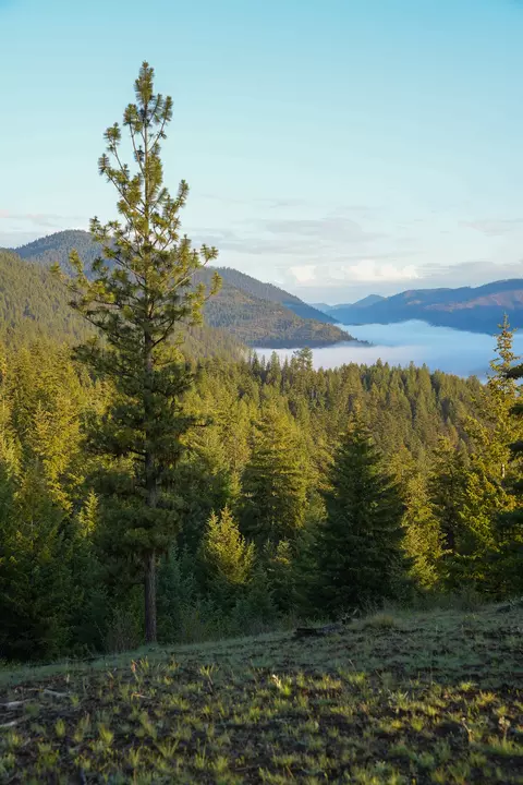 Clark Fork River Sporting Ranch, Superior, MT 59872 photo 6