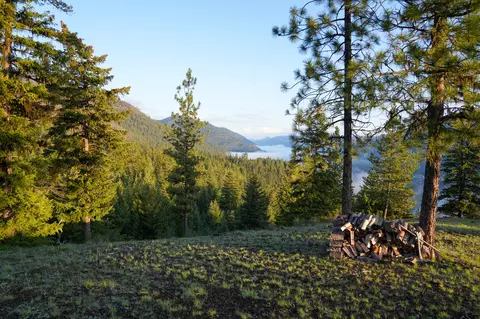 Clark Fork River Sporting Ranch, Superior, MT 59872 photo 5