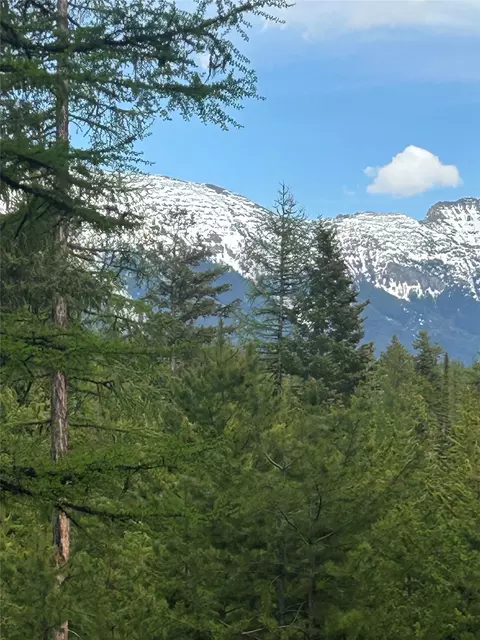 409 Old Barn Rd, Seeley Lake, MT 59868