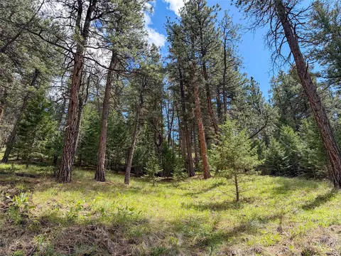 tbd Dearborn River Rd, Cascade, MT 59421 photo 21