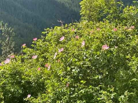 20 Eddy Flat Ln, Thompson Falls, MT 59873 photo 29