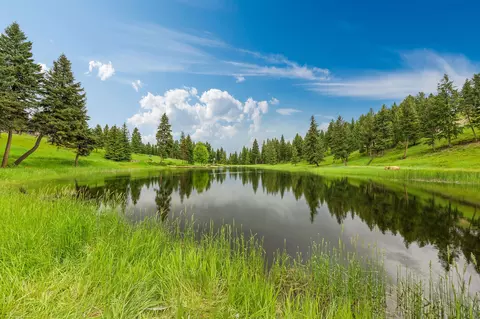 View/Area - Nhn Loon Lake Road, Trego, MT 59934 photo 9 of 9