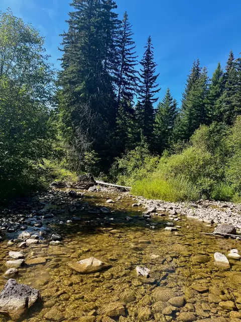 Other - Nhn Loon Lake Road, Trego, MT 59934 photo 22 of 31